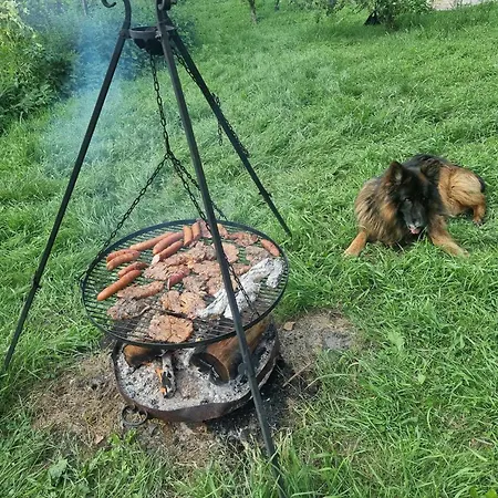 De Janauis Dom wakacyjny *