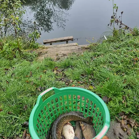 De Janauis * コシチェジナ