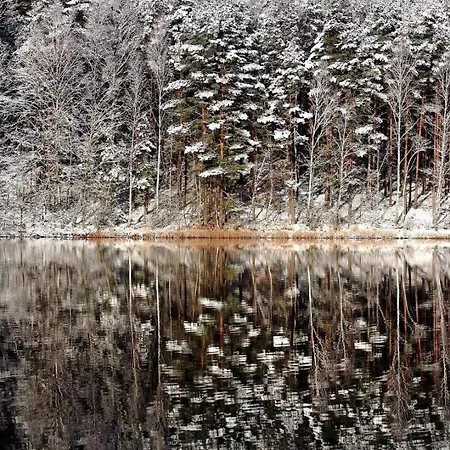 Dom wakacyjny De Janauis