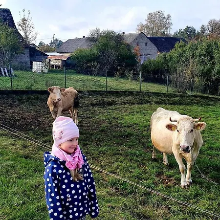 De Janauis Dom wakacyjny