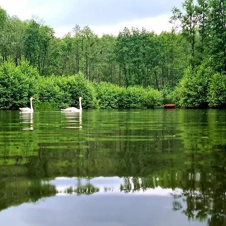 De Janauis * Kościerzyna