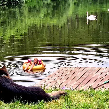 De Janauis * Kościerzyna
