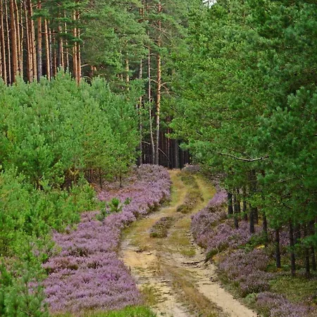 Dom wakacyjny De Janauis