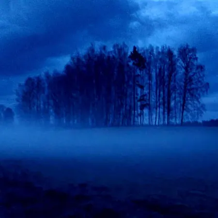 Dom wakacyjny De Janauis Kościerzyna