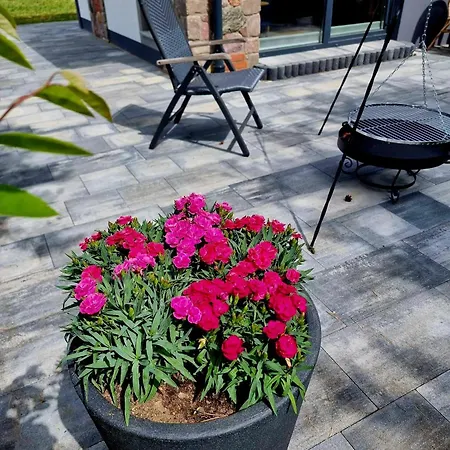 Dom wakacyjny De Janauis