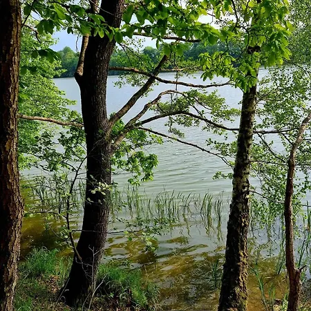 De Janauis 別荘 コシチェジナ