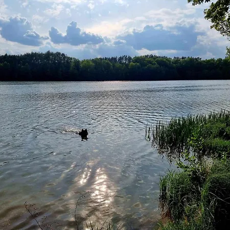 De Janauis Kościerzyna
