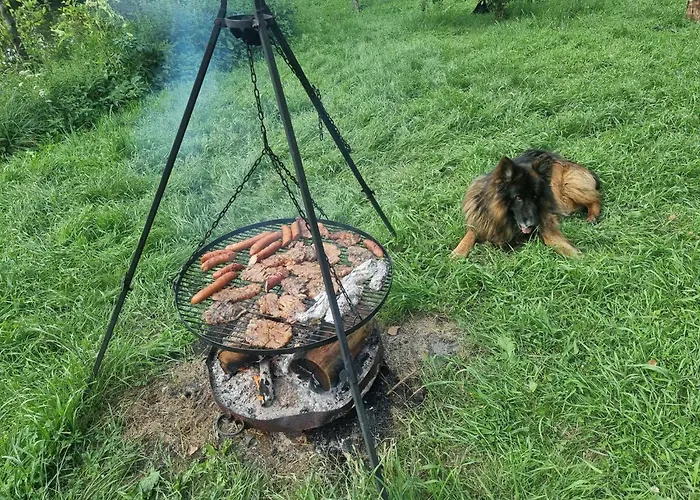 De Janauis 度假居 *