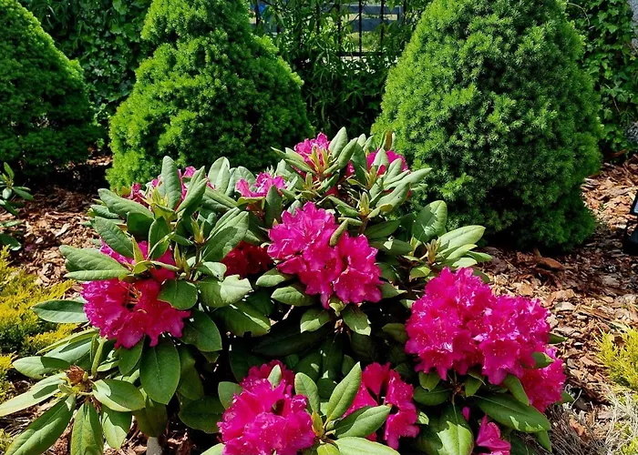 De Janauis 度假居