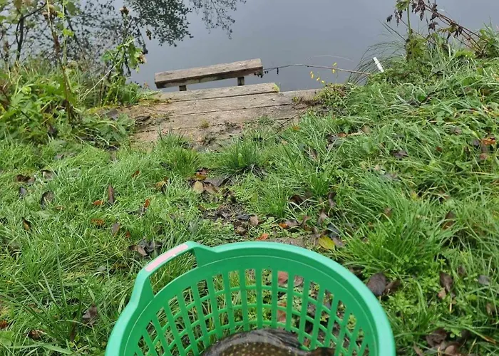 De Janauis * Kościerzyna