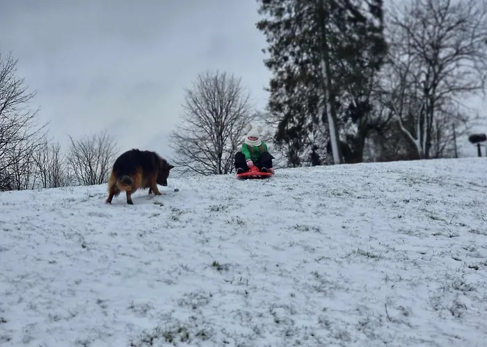 De Janauis 度假居