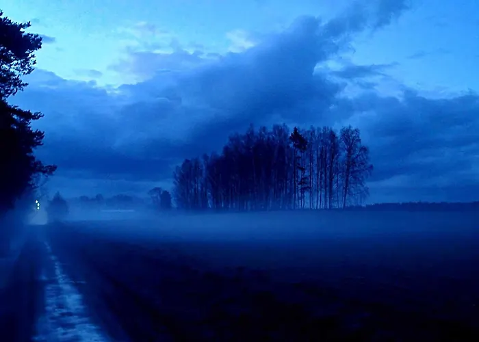 De Janauis 度假居 *