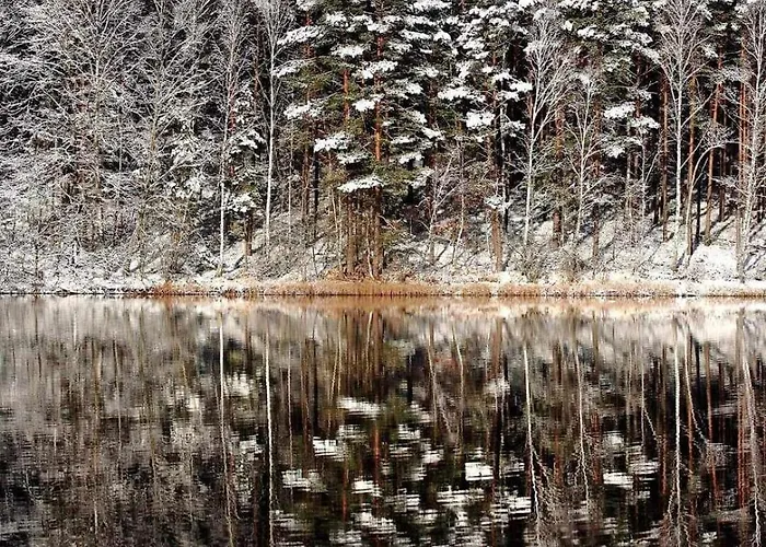 度假居 De Janauis