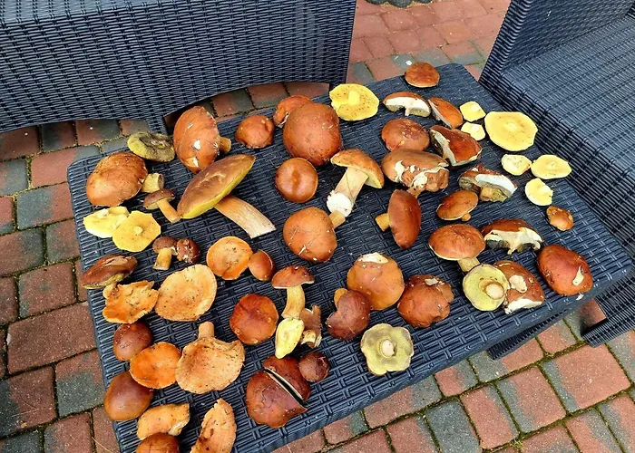 度假居 De Janauis