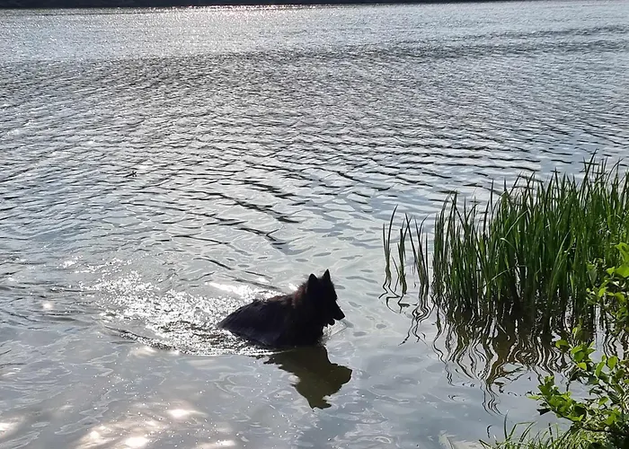 De Janauis 度假居 *