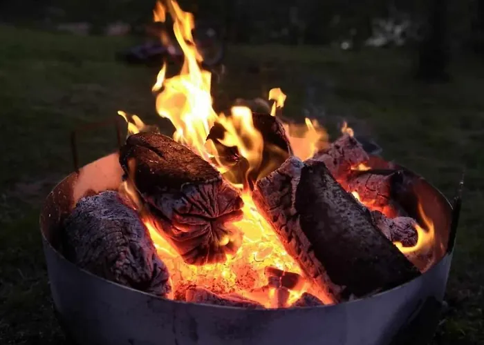 De Janauis 度假居 *