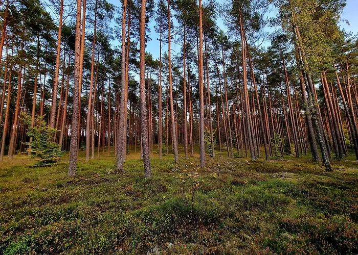 De Janauis 度假居 Kościerzyna