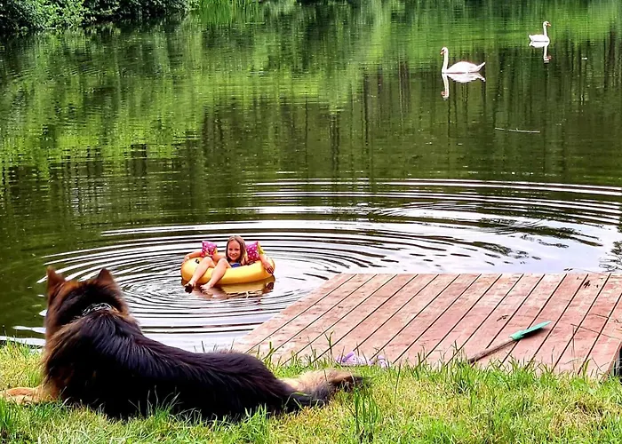 De Janauis * Kościerzyna
