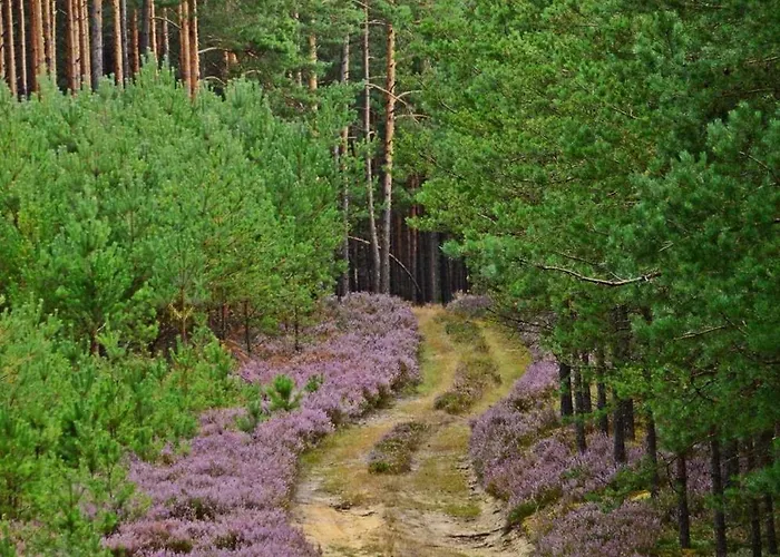 度假居 De Janauis