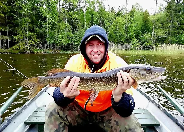 De Janauis Kościerzyna