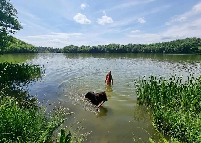 度假居 De Janauis *