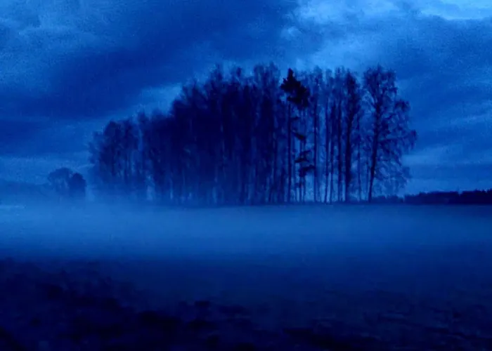 度假居 De Janauis Kościerzyna