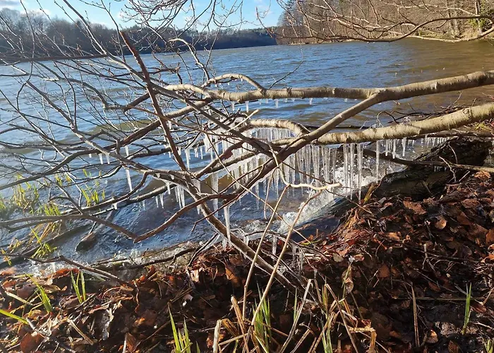 De Janauis 度假居 *