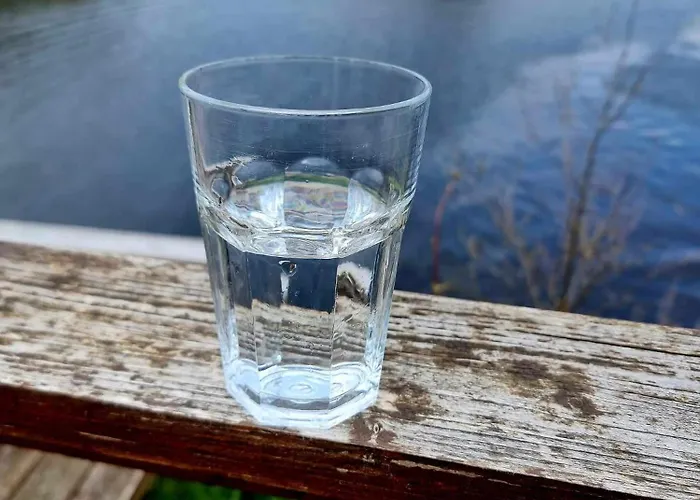 De Janauis 度假居 *