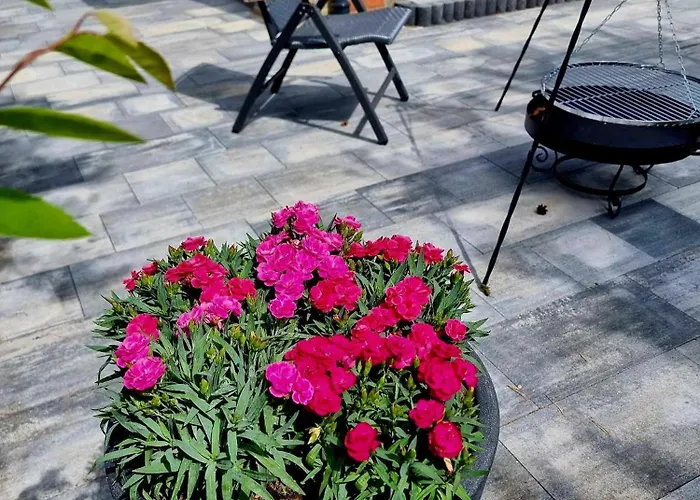 度假居 De Janauis