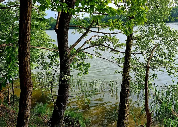 De Janauis 度假居 Kościerzyna