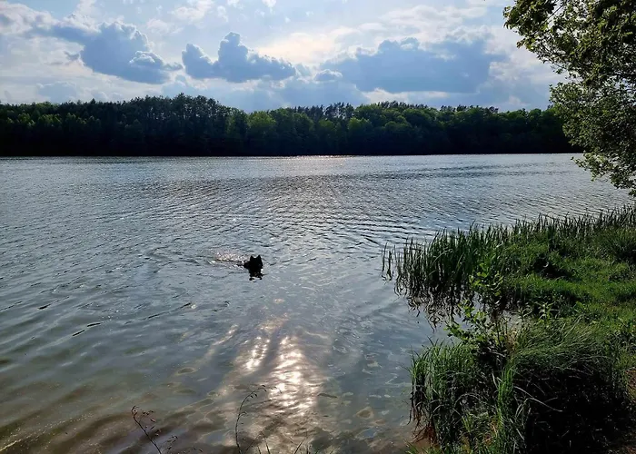 De Janauis Kościerzyna